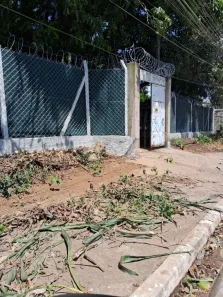 Fazenda/Sítio com 2 Quartos à venda, 62m² no Chácara Santa Etelvina, São Paulo