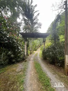 Fazenda/Sítio com 3 Quartos à venda, 240m² no Glória, Blumenau