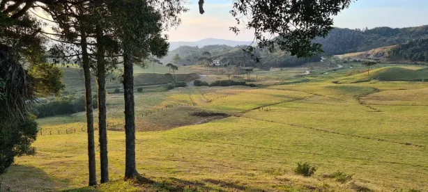 Lote/Terreno à venda, 271228m² no , Rancho Queimado
