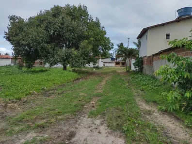Lote/Terreno à venda, 250m² no Lucena, Lucena