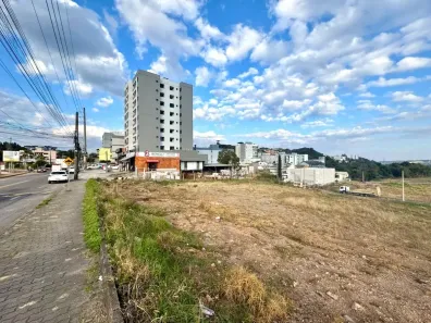 Lote/Terreno à venda, 741m² no São Luiz, Caxias do Sul