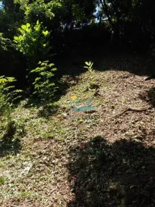 Lote/Terreno à venda, 600m² no Ilhote (Cambaquara), Ilhabela