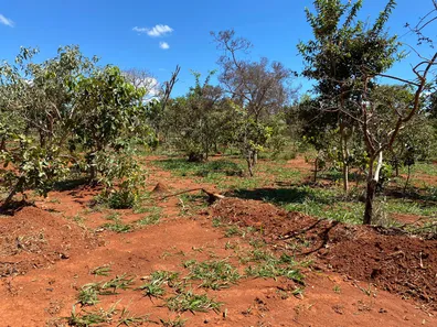 Lote/Terreno à venda, 20000m² no Zona Rural, Santana de Pirapama