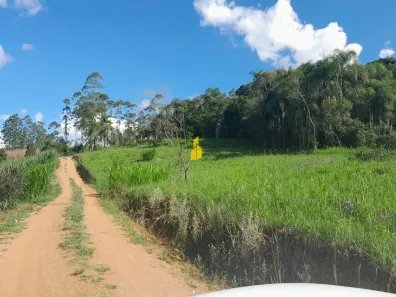Lote/Terreno à venda, 20000m² no Barra São João, Benedito Novo