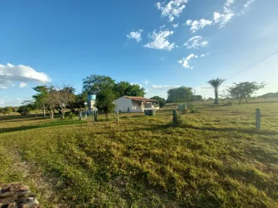 Fazenda/Sítio à venda, 1577m² no Centro, Araguaiana
