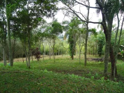 Lote/Terreno à venda, 20000m² no Tijuco Preto(Caucaia do Alto), Cotia
