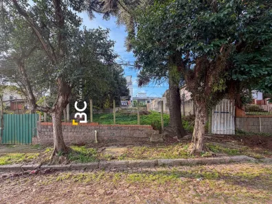 Lote/Terreno à venda, 347m² no Vila Ipiranga, Porto Alegre
