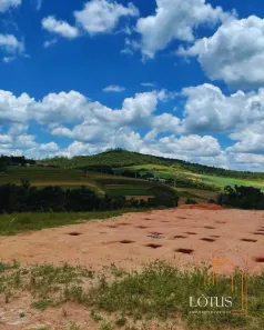Lote/Terreno à venda, 500m² no Centro (Caucaia do Alto), Cotia