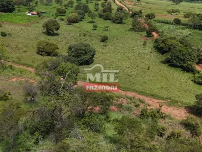 Fazenda/Sítio à venda, 20000m² no Setor Bueno, Goiânia