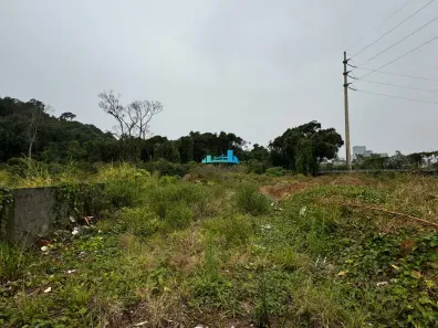 Lote/Terreno à venda, 420m² no Campeche, Florianópolis