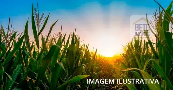 Fazenda/Sítio à venda, 23920000m² no , Bocaiúva