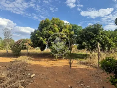 Fazenda/Sítio com 2 Quartos à venda, 100m² no , Bonfinópolis