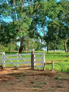 Fazenda/Sítio com 3 Quartos à venda, 246840m² no , Corumbá de Goiás