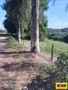 Fazenda/Sítio com 1 Quarto à venda, 5000m² no Quatro Cantos, Picada Café