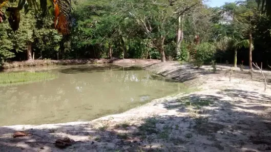 Fazenda/Sítio com 3 Quartos à venda, 15000m² no Morro Grande, Araruama