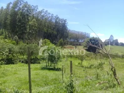 Fazenda/Sítio com 4 Quartos à venda, 200m² no Centro, Paraibuna