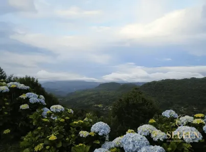 Lote/Terreno à venda, 970m² no , Gramado