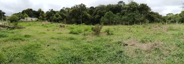 Fazenda/Sítio à venda, 9000m² no Imboassica, Macaé