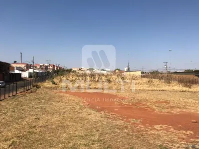 Lote/Terreno com 1 Quarto para alugar, 5000m² no Granada, Uberlândia
