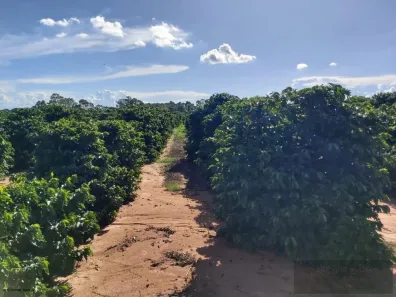 Fazenda/Sítio à venda, 435600m² no , Lupércio