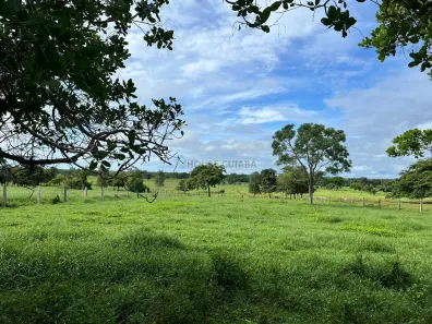 Fazenda/Sítio com 3 Quartos à venda, 150m² no Área Rural de Várzea Grande, Várzea Grande
