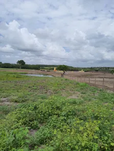 Fazenda/Sítio com 3 Quartos à venda, 110000m² no , Monte Alegre
