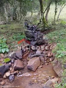 Lote/Terreno à venda, 14000m² no Centro, São Francisco de Paula
