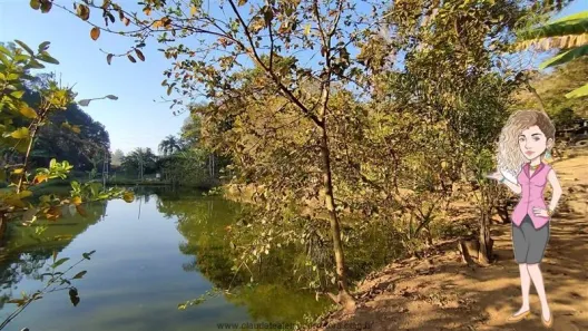 Fazenda/Sítio com 3 Quartos à venda, 6088m² no , Jarinu