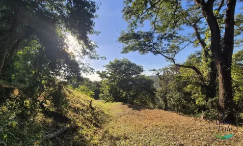 Lote/Terreno com 1 Quarto à venda, 3529m² no Residencial Aldeia do Vale, Goiânia
