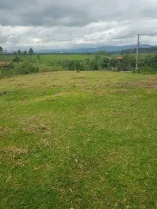 Lote/Terreno à venda, 2430m² no Pedrinha, Guaratinguetá