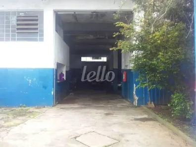 Galpão/Depósito/Armazém à venda, 300m² no Jardim Bom Pastor, Santo André