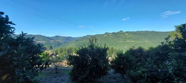 Lote/Terreno à venda, 13m² no Pinhal Alto, Nova Petrópolis