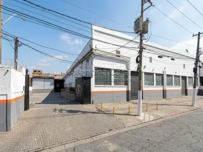 Galpão/Depósito/Armazém para alugar, 2692m² no Jardim Humaitá, São Paulo