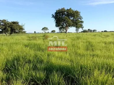 Fazenda/Sítio à venda, 500m² no , Paranã
