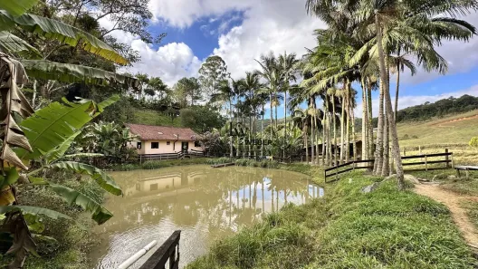 Fazenda/Sítio com 3 Quartos à venda, 6800m² no Centro, São Pedro de Alcântara
