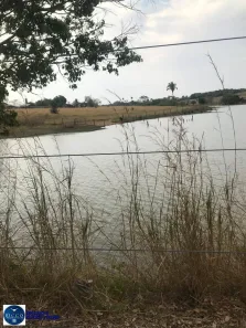 Fazenda/Sítio com 4 Quartos à venda, 124m² no Setor Santo Antônio, Nova Crixás
