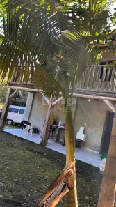 Fazenda/Sítio com 2 Quartos à venda, 465000m² no , Nova Trento