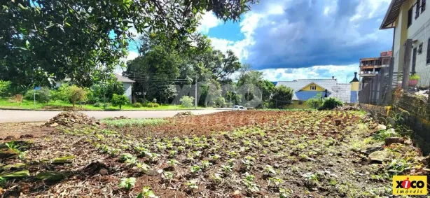 Lote/Terreno à venda, 403m² no , Nova Petrópolis