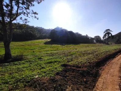 Lote/Terreno à venda, 67000m² no , Campo Magro