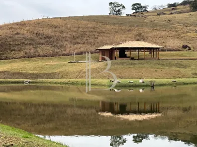 Fazenda/Sítio à venda, 135000m² no Alto da Paulista, São João da Boa Vista
