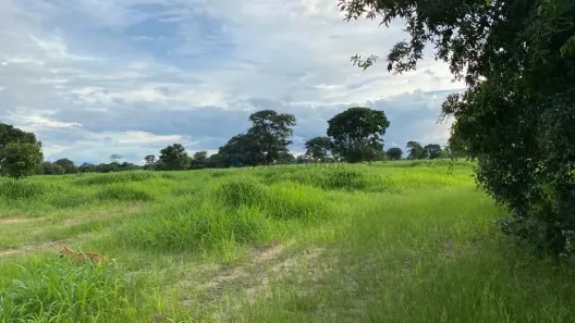 com 3 Quartos à venda, 280m² no , Mundo Novo