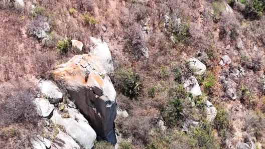 Fazenda/Sítio com 2 Quartos à venda, 6110000m² no , Cerro Corá