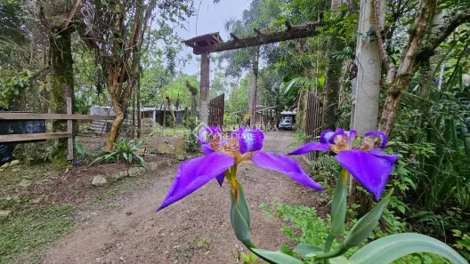 Fazenda/Sítio à venda, 220m² no , Santo Amaro da Imperatriz
