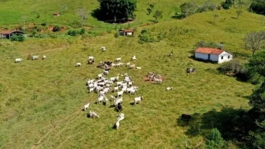 Fazenda/Sítio com 4 Quartos à venda, 159m² no Jacaré, Santa Branca