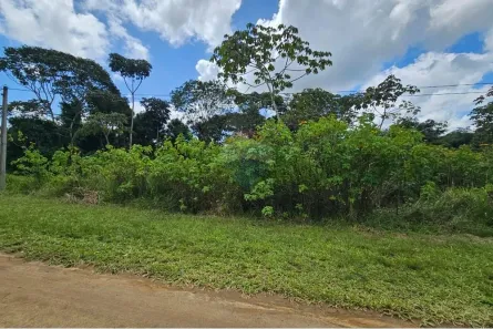 Lote/Terreno à venda, 579m² no Primavera, Paudalho