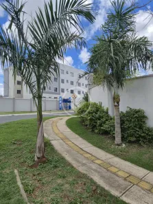 Apartamento com 2 Quartos à venda, 42m² no Cardoso Continuação, Aparecida de Goiânia