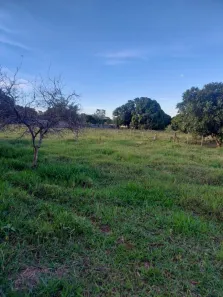 Fazenda/Sítio à venda, 2500m² no , Regente Feijó
