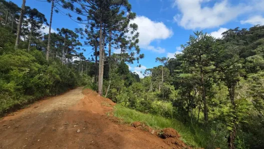 Lote/Terreno à venda, 87878m² no Laranjeiras, Campo Alegre