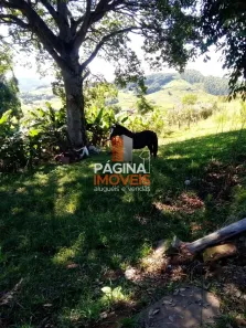 Fazenda/Sítio com 2 Quartos à venda, 50m² no , Glorinha