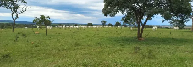 Fazenda/Sítio com 5 Quartos à venda, 310m² no Área Rural de Catalão, Catalão